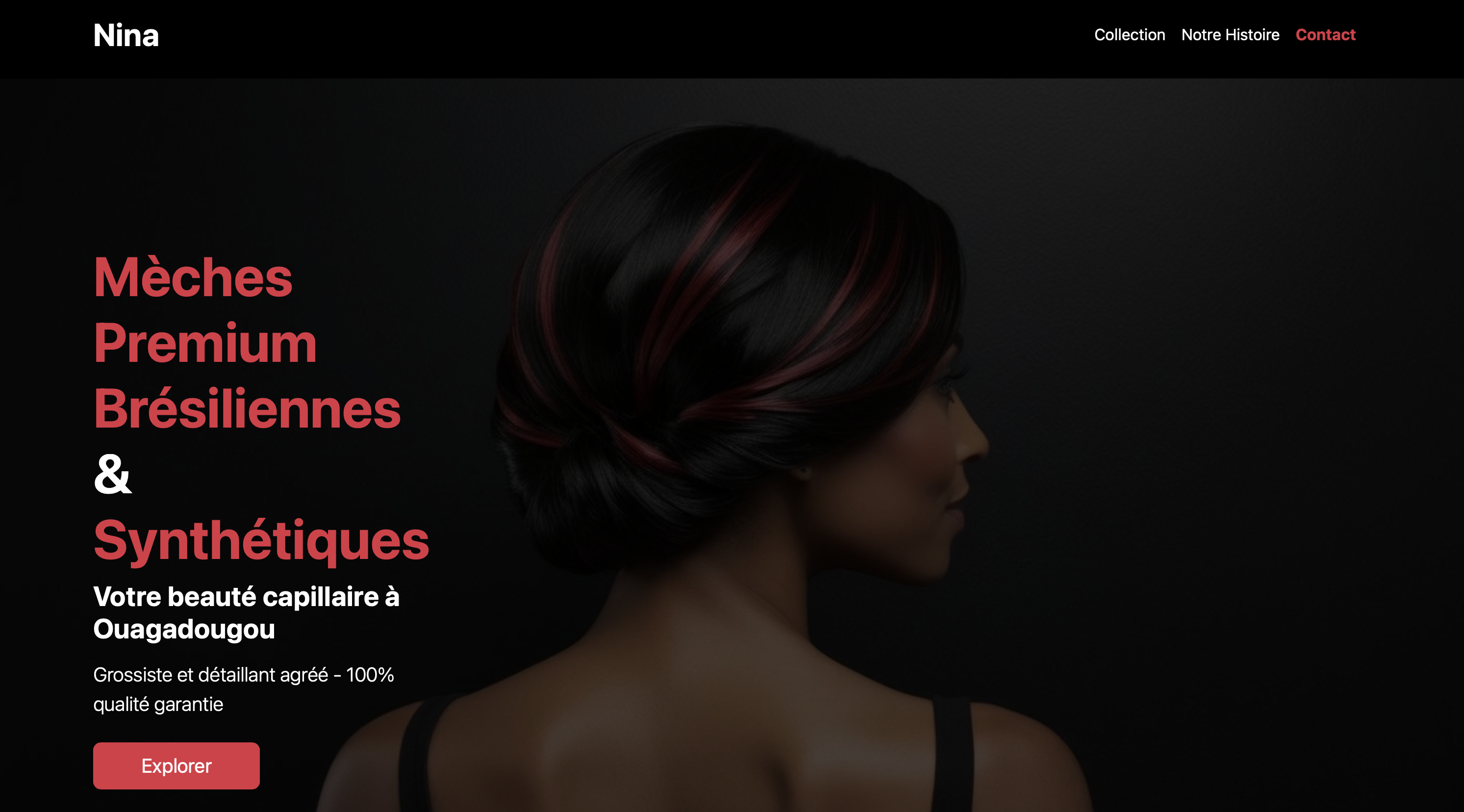 Projet Nina